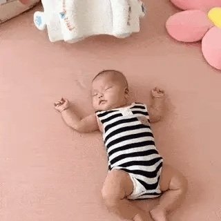 Detaylarıyla Lemivora